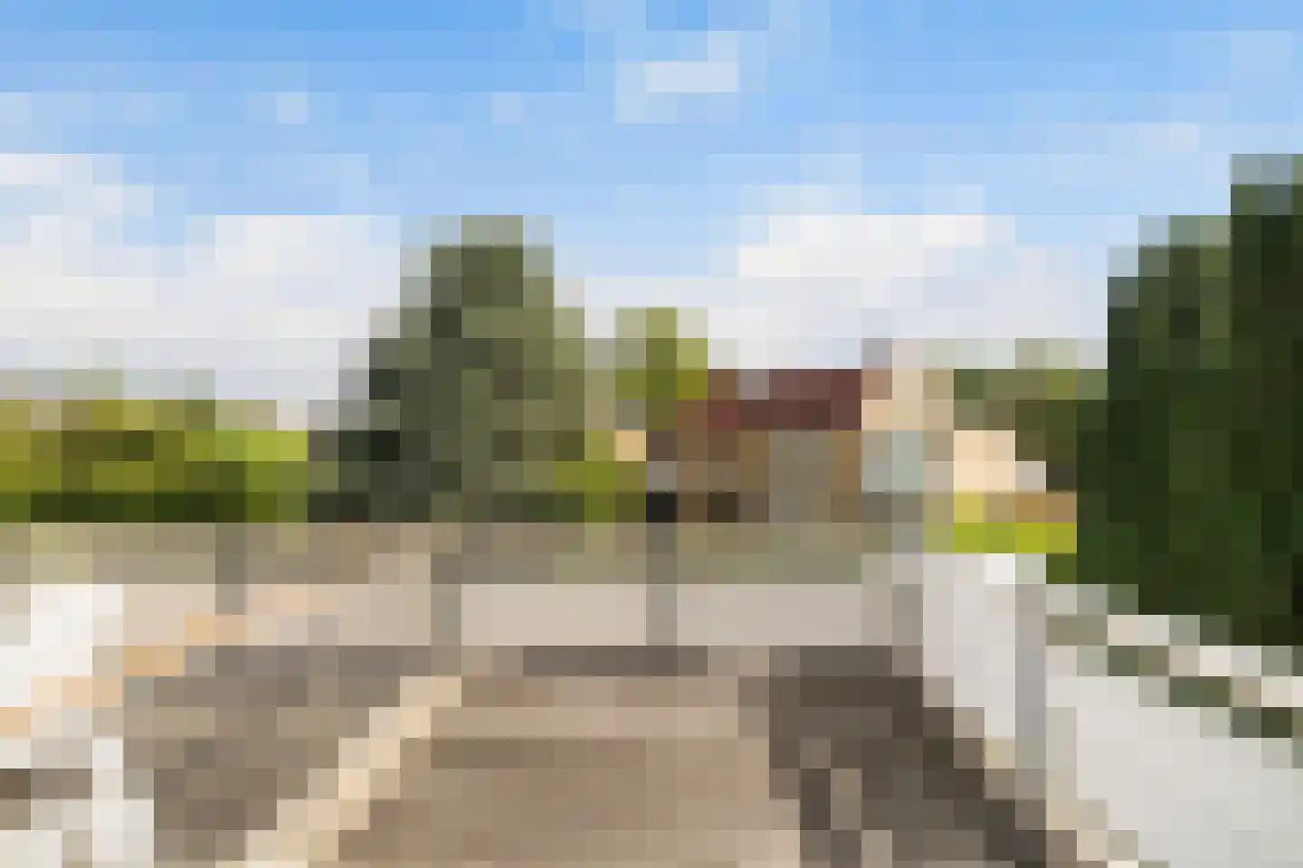 Klaproos 26 Leiden thumbnail 43