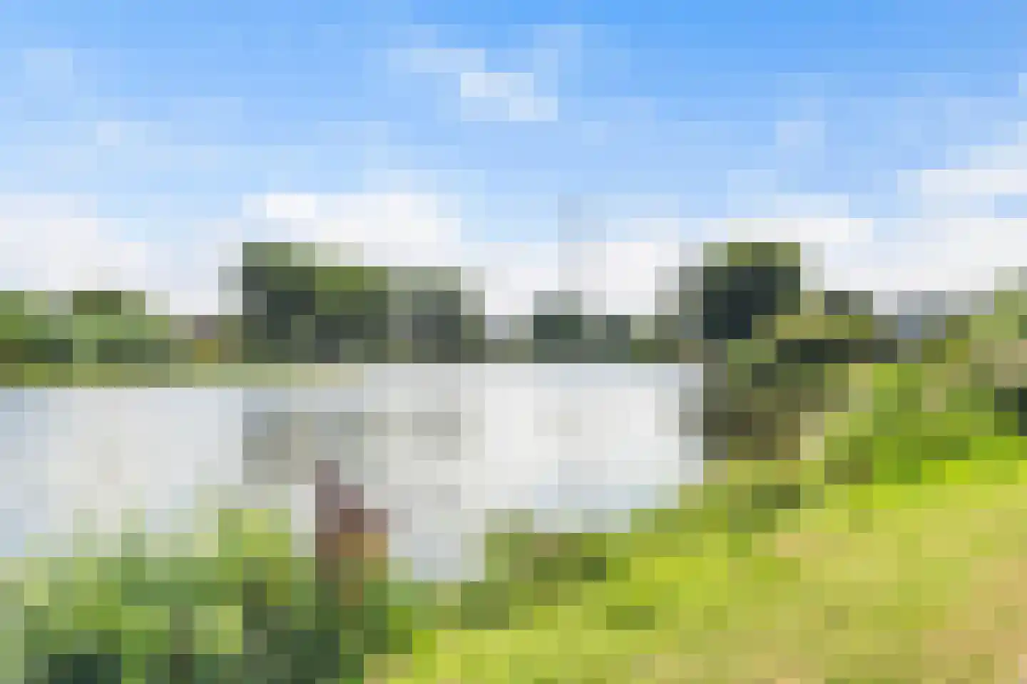 Klaproos 26 Leiden thumbnail 51