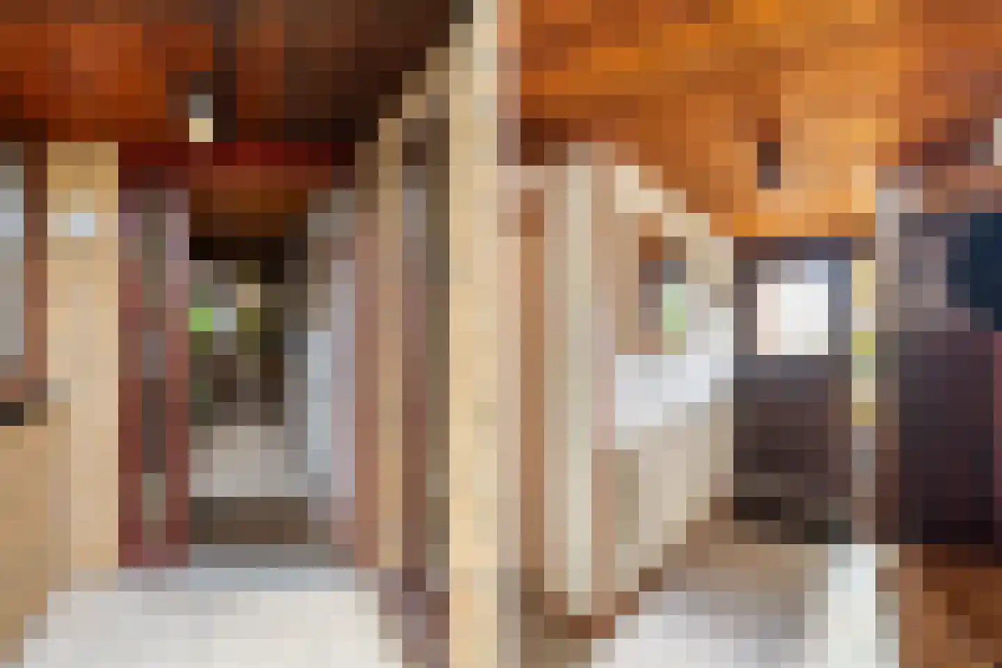 Klaproos 26 Leiden thumbnail 6