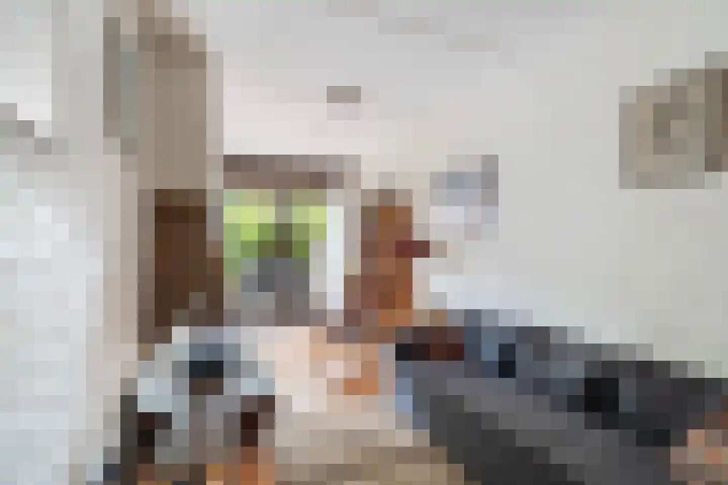 Klaproos 26 Leiden thumbnail 8