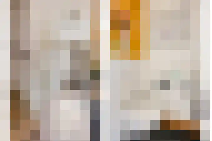 Klaproos 27 Dongen thumbnail 11