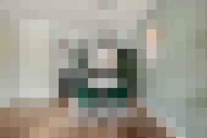 Klaproos 27 Dongen thumbnail 14