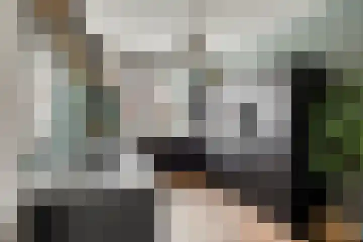 Klaproos 27 Dongen thumbnail 16