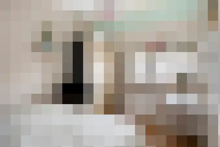 Klaproos 27 Dongen thumbnail 20