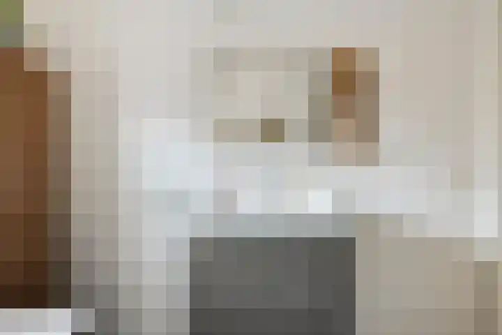 Klaproos 27 Dongen thumbnail 23