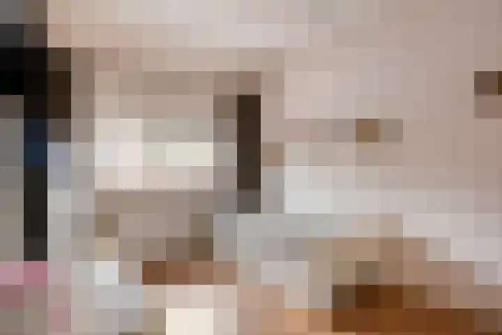 Klaproos 27 Dongen thumbnail 24