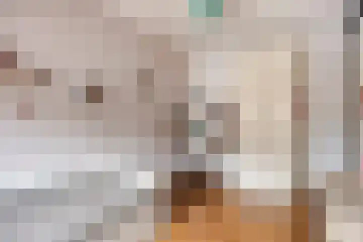 Klaproos 27 Dongen thumbnail 25