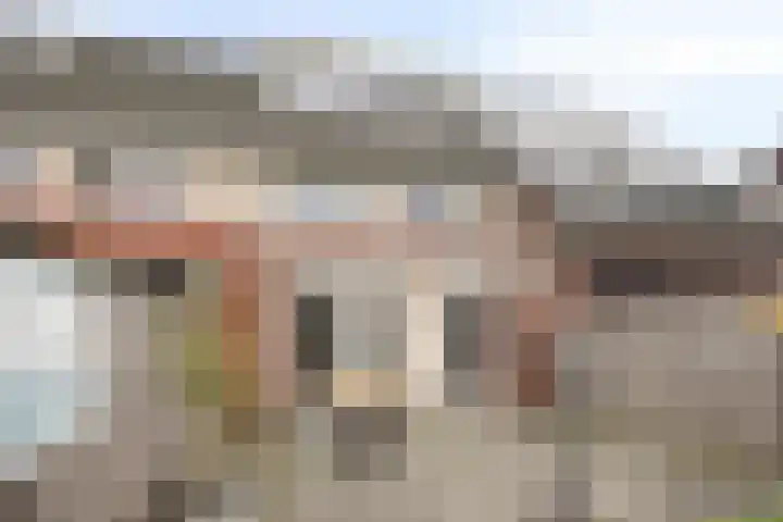 Klaproos 27 Dongen thumbnail 28