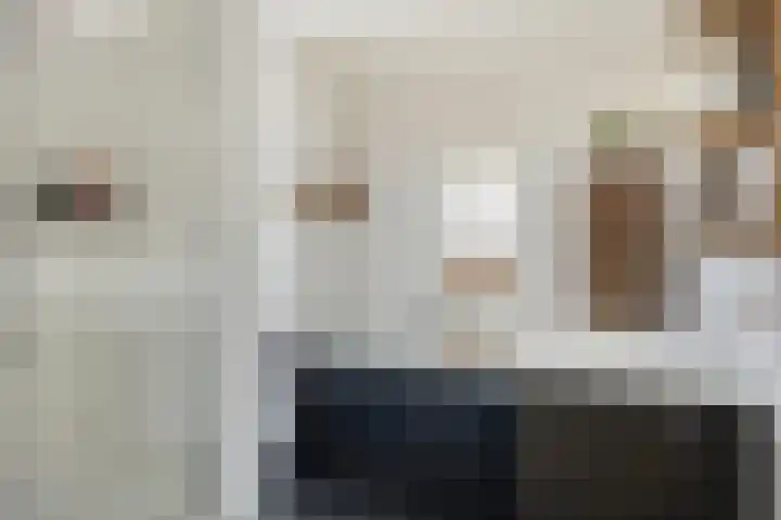 Klaproos 27 Dongen thumbnail 5