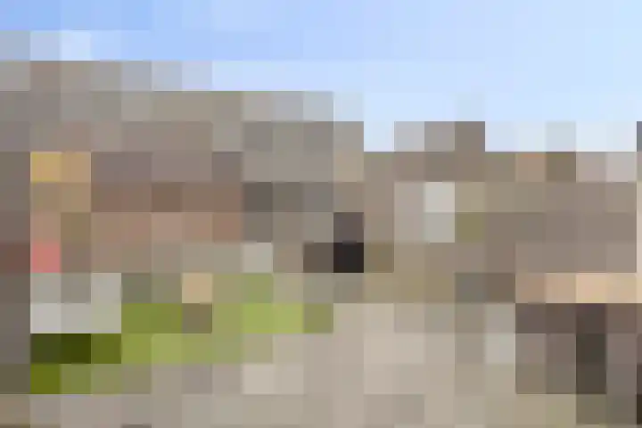 Klaproos 27 Dongen thumbnail 6