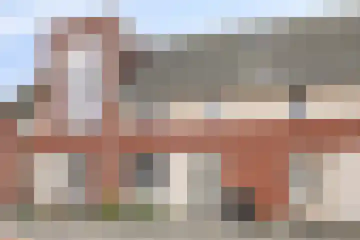 Klaproos 27 Dongen thumbnail 8