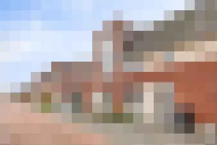 Klaproos 27 Dongen thumbnail 9