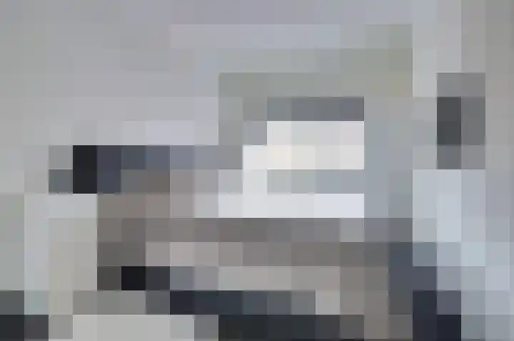 Klaproos 29 Dongen thumbnail 15