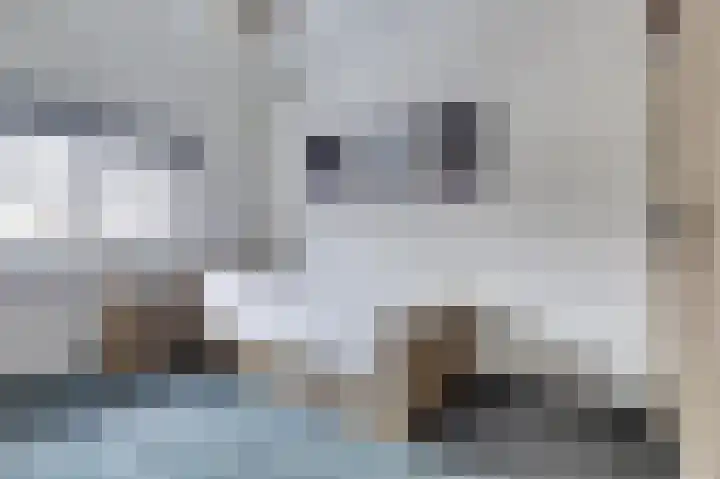 Klaproos 29 Dongen thumbnail 16