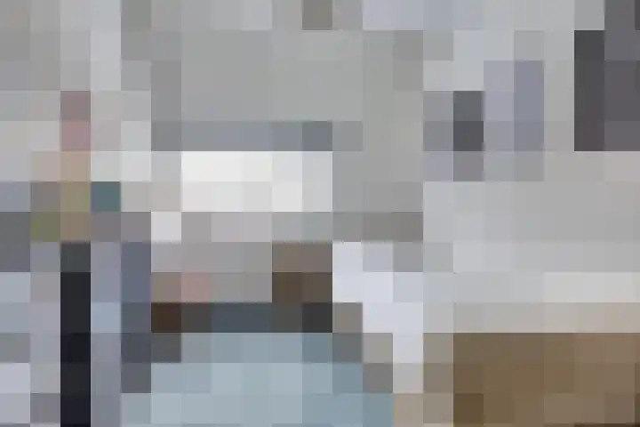 Klaproos 29 Dongen thumbnail 17