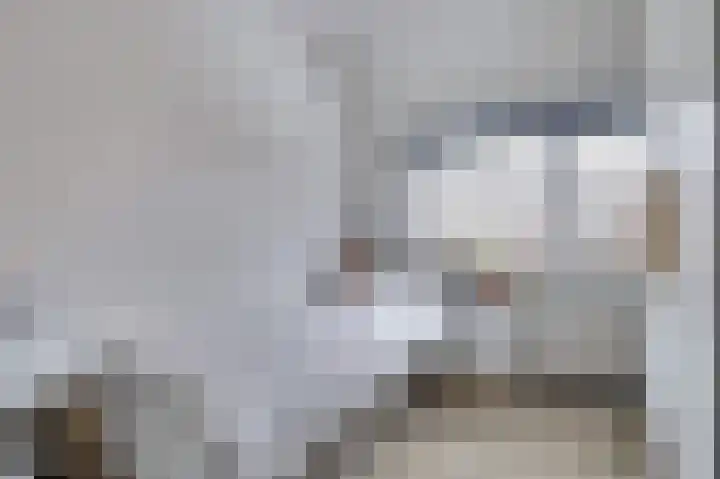 Klaproos 29 Dongen thumbnail 18