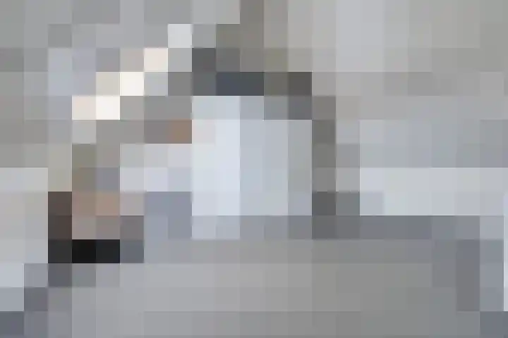 Klaproos 29 Dongen thumbnail 20
