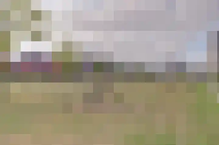 Klaproos 29 Dongen thumbnail 29