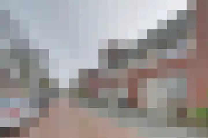 Klaproos 29 Dongen thumbnail 30