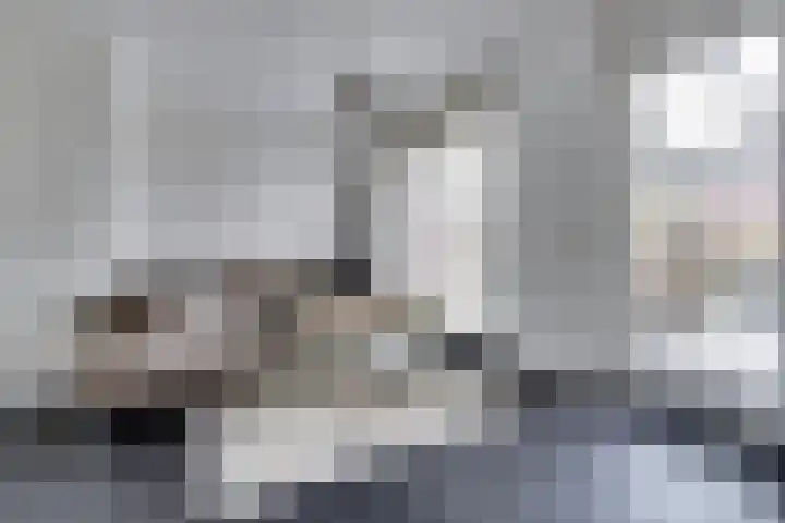Klaproos 29 Dongen thumbnail 7