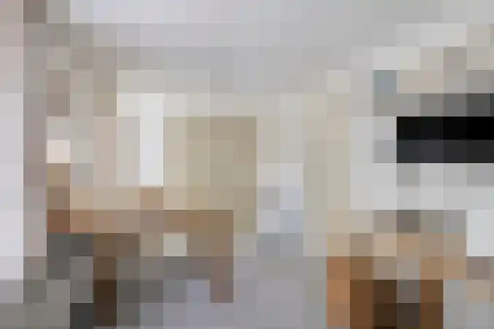 Klaproos 3 Didam thumbnail 21