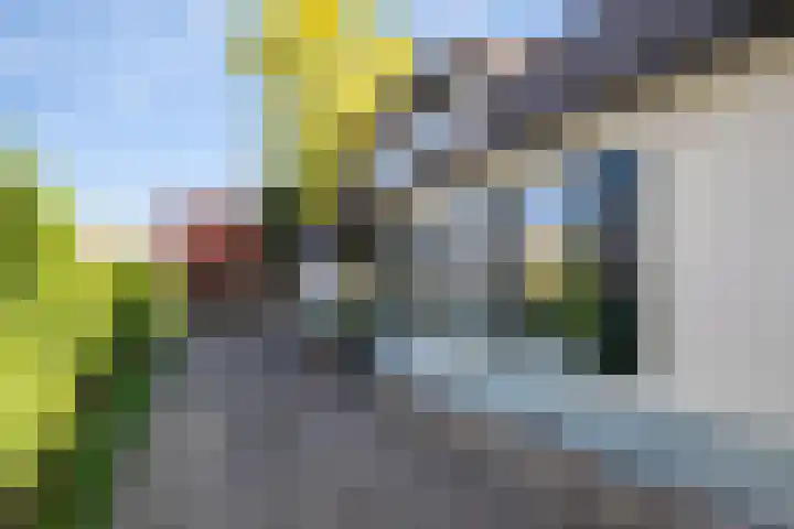 Klaproos 3 Didam foto 3