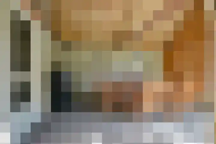 Klaproos 3 Didam thumbnail 31