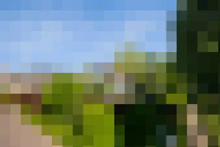 Klaproos 3 Didam thumbnail 36