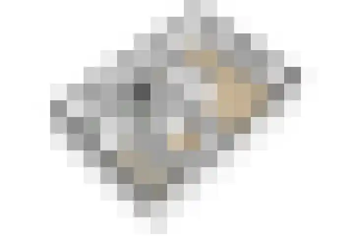 Klaproos 3 Didam thumbnail 42