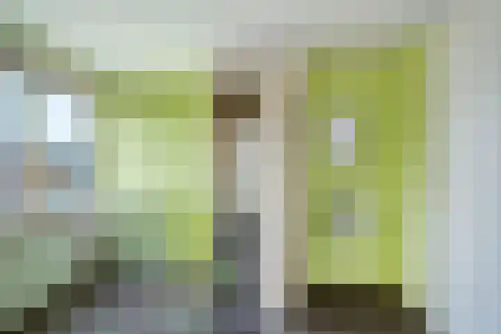 Klaproos 3 Didam thumbnail 44