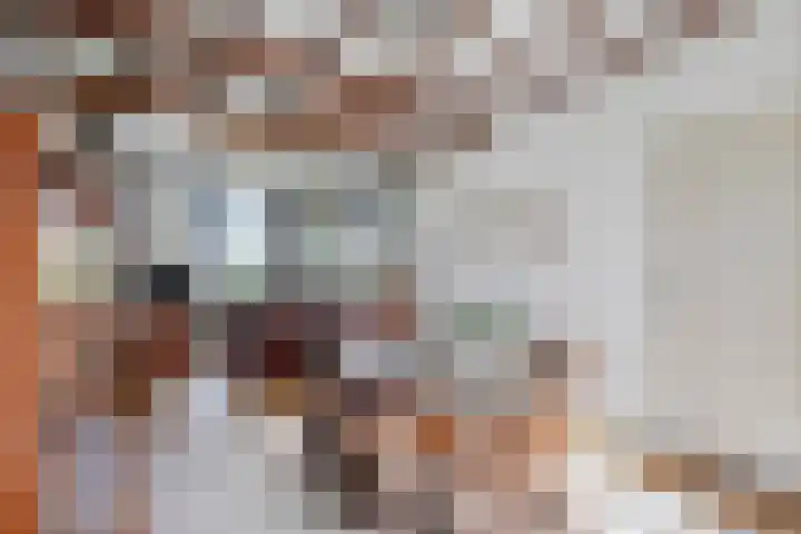 Klaproos 3 Didam thumbnail 9