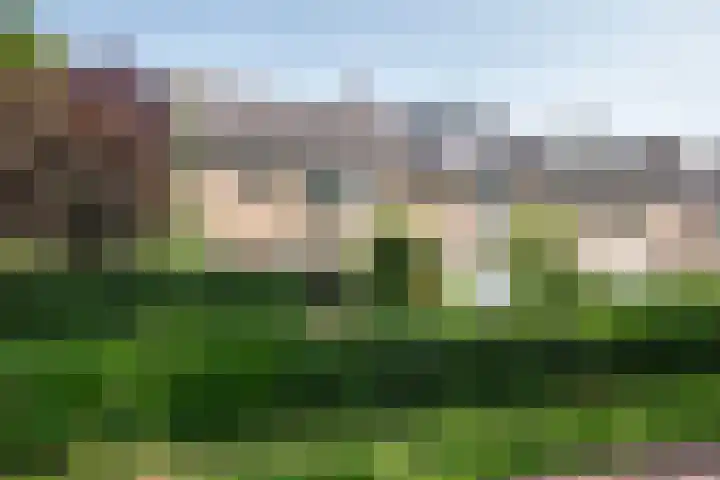 Klaproos 31 Barendrecht thumbnail 20