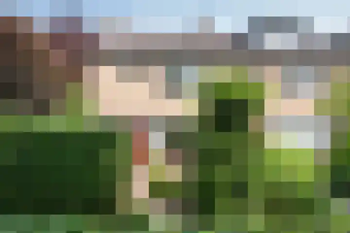 Klaproos 31 Barendrecht thumbnail 33