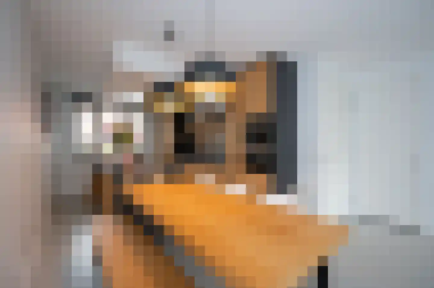 Klaproos 31 Bodegraven thumbnail 10