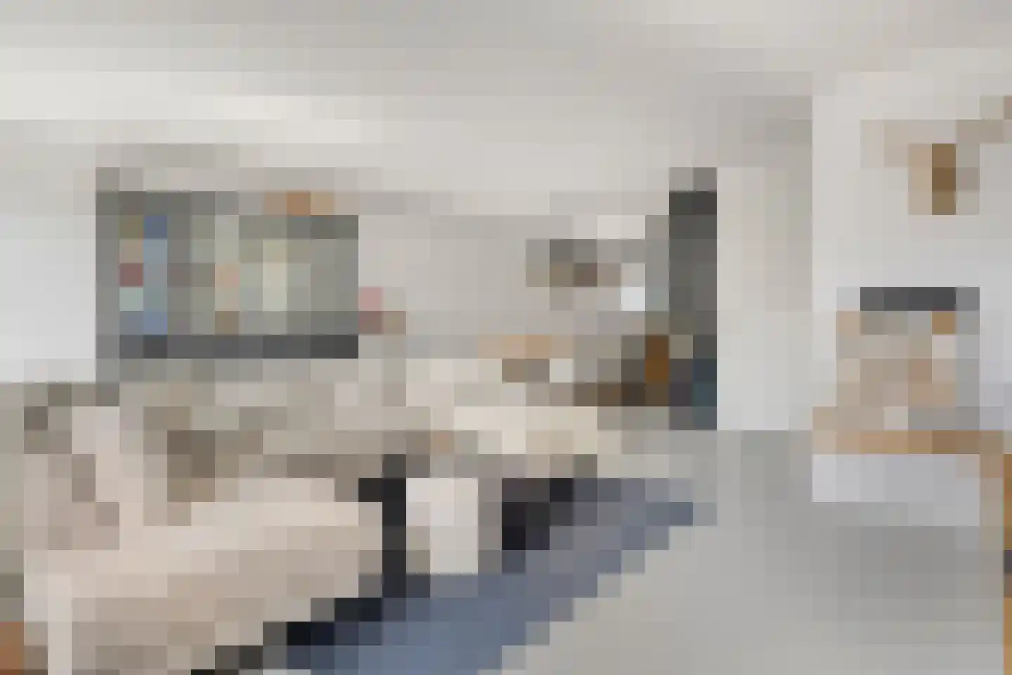 Klaproos 31 Bodegraven thumbnail 12