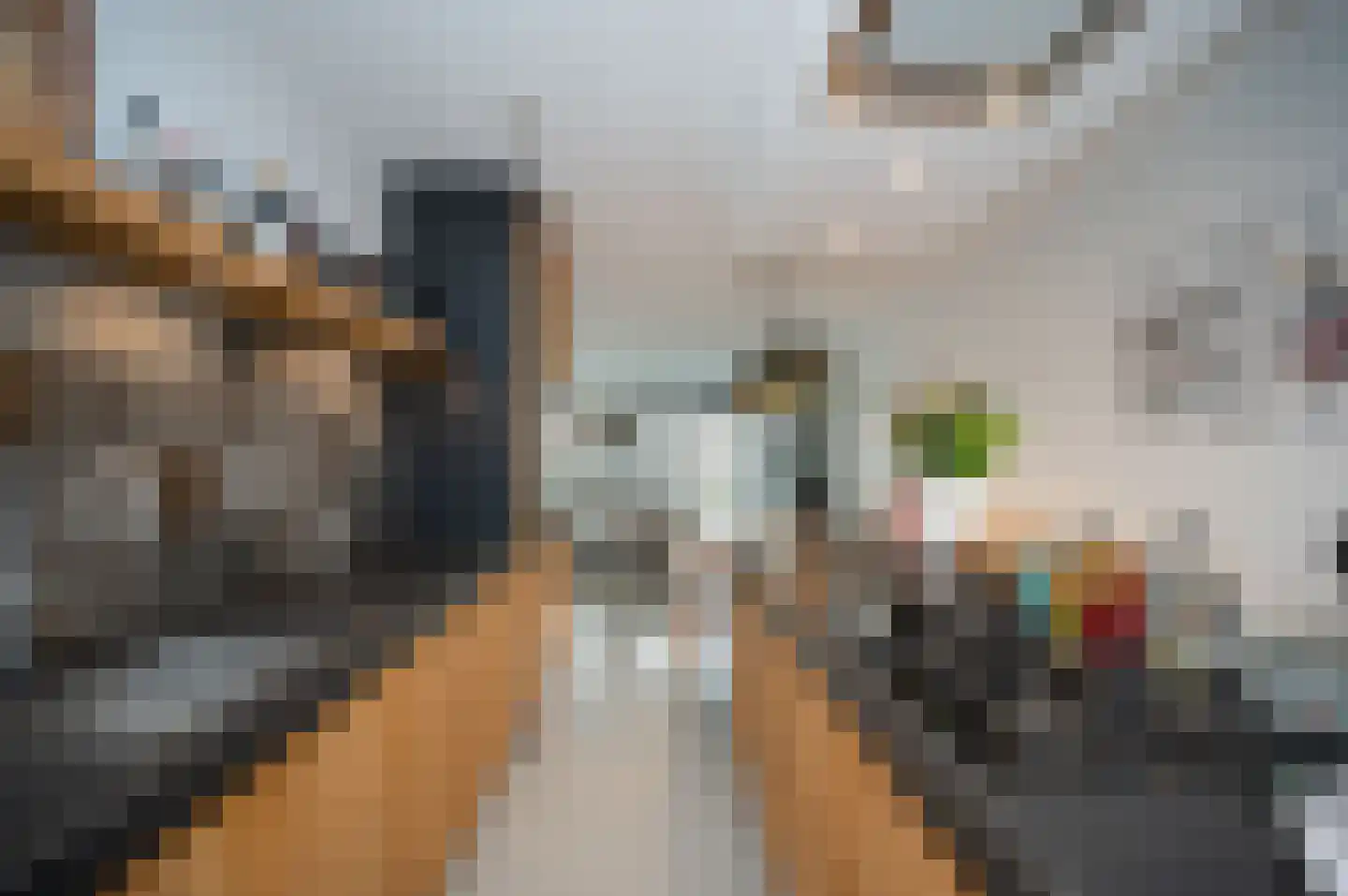 Klaproos 31 Bodegraven thumbnail 12