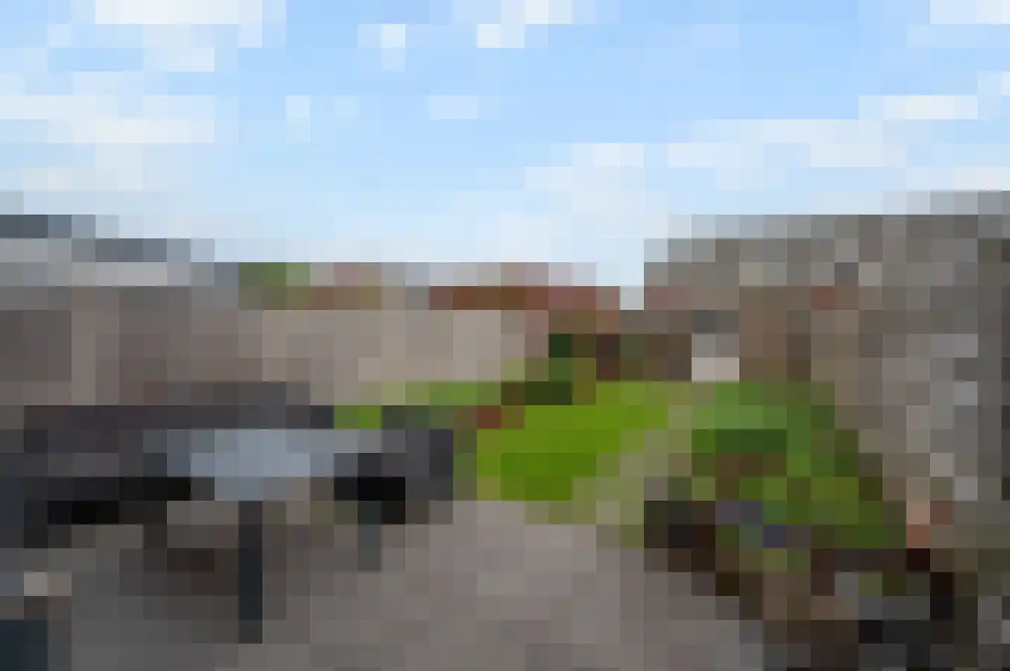 Klaproos 31 Bodegraven thumbnail 13