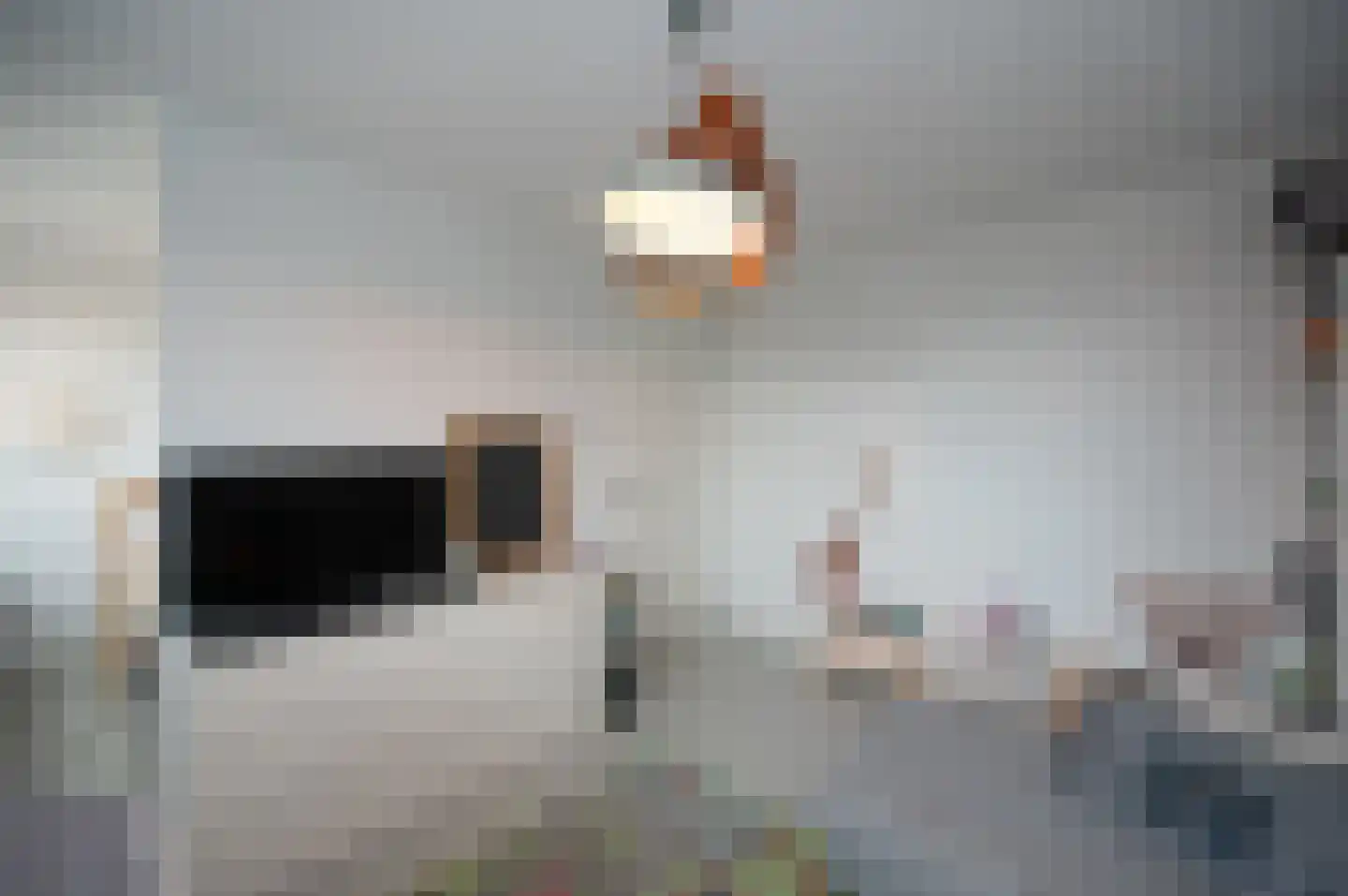 Klaproos 31 Bodegraven thumbnail 20
