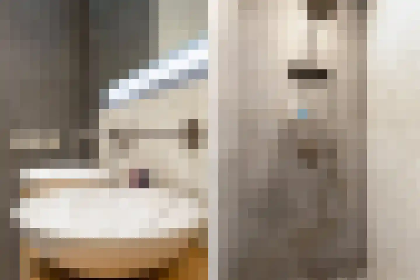 Klaproos 31 Bodegraven thumbnail 22