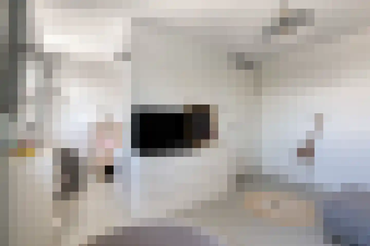 Klaproos 31 Bodegraven thumbnail 25
