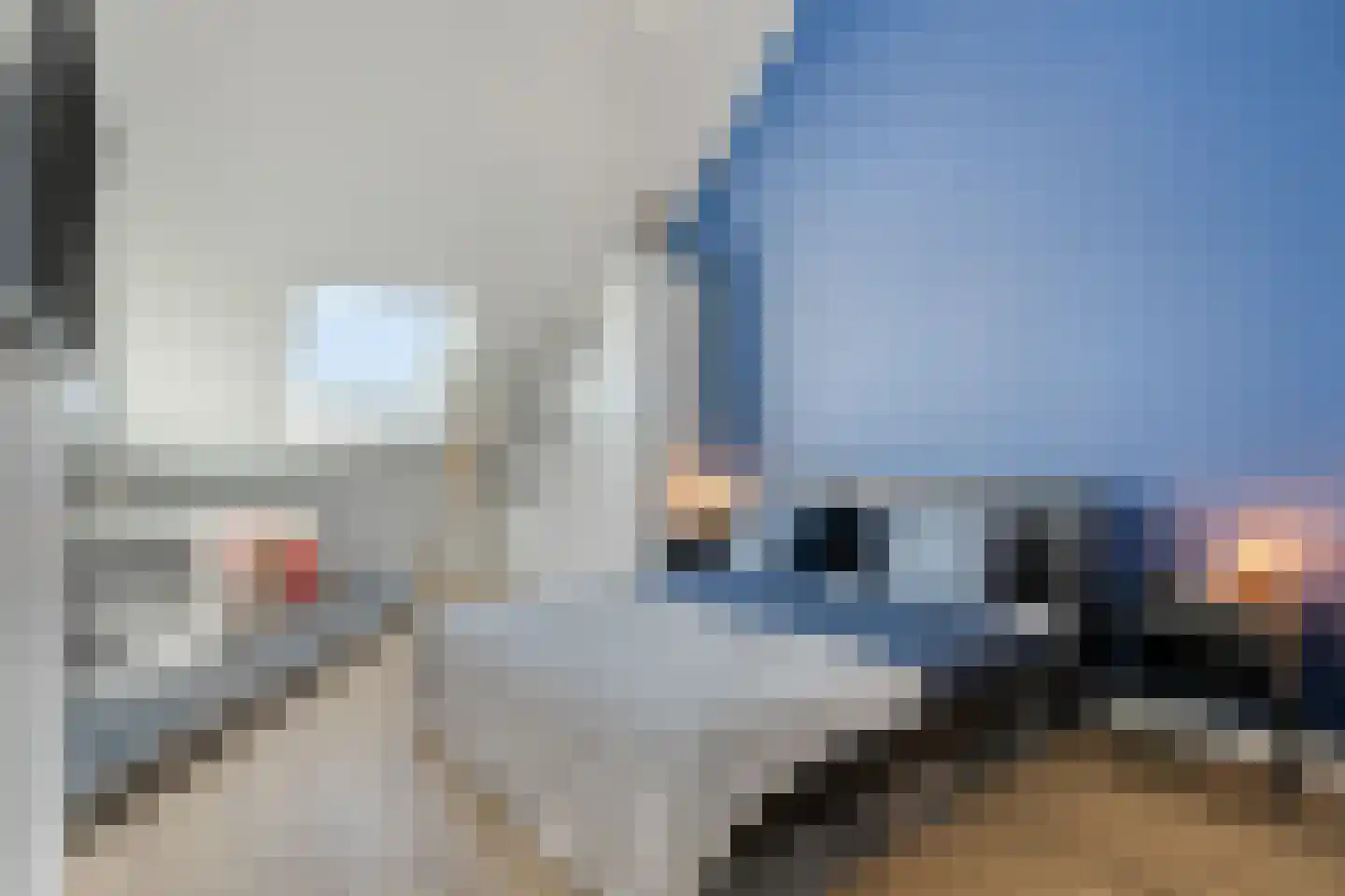 Klaproos 31 Bodegraven thumbnail 27