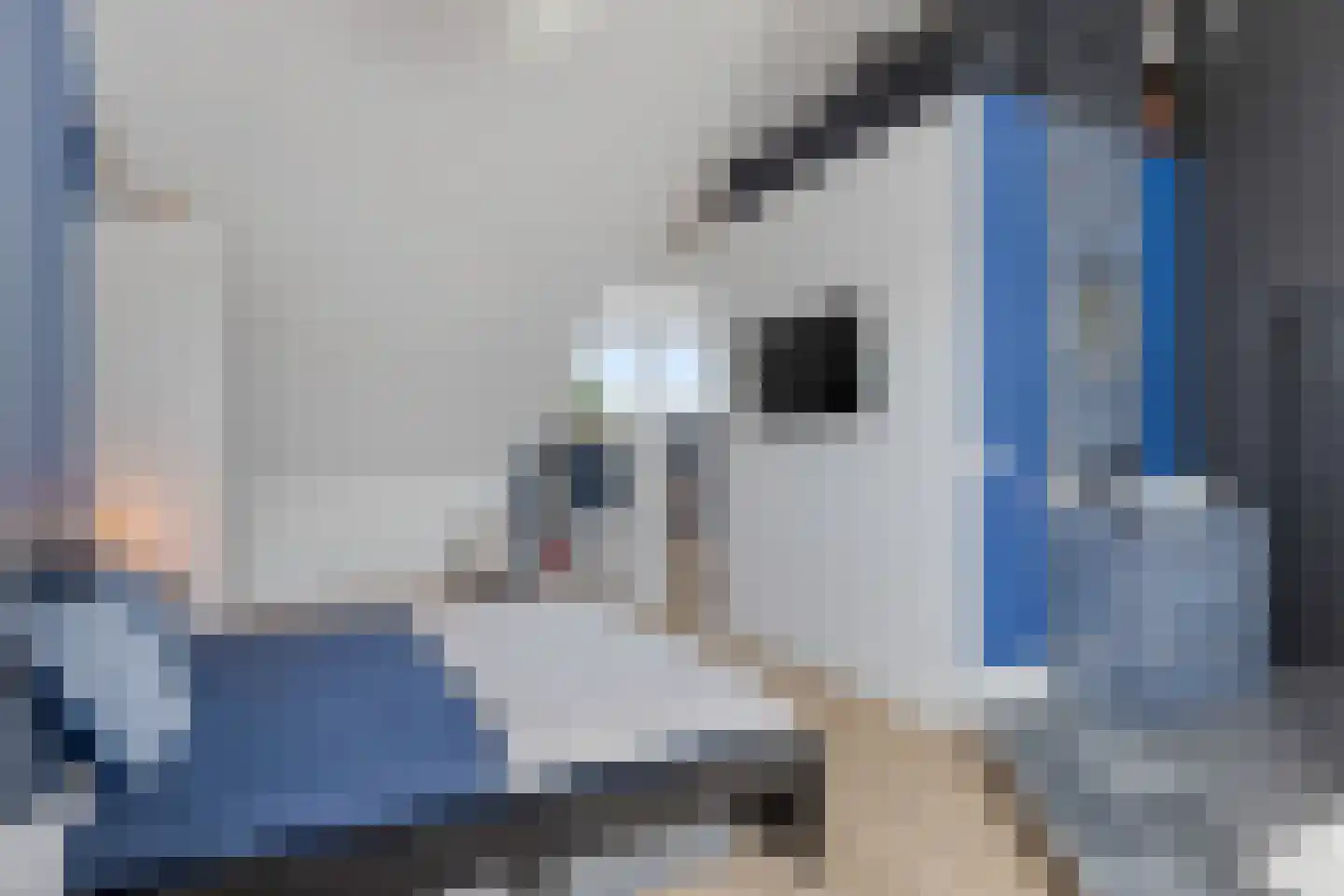 Klaproos 31 Bodegraven thumbnail 29