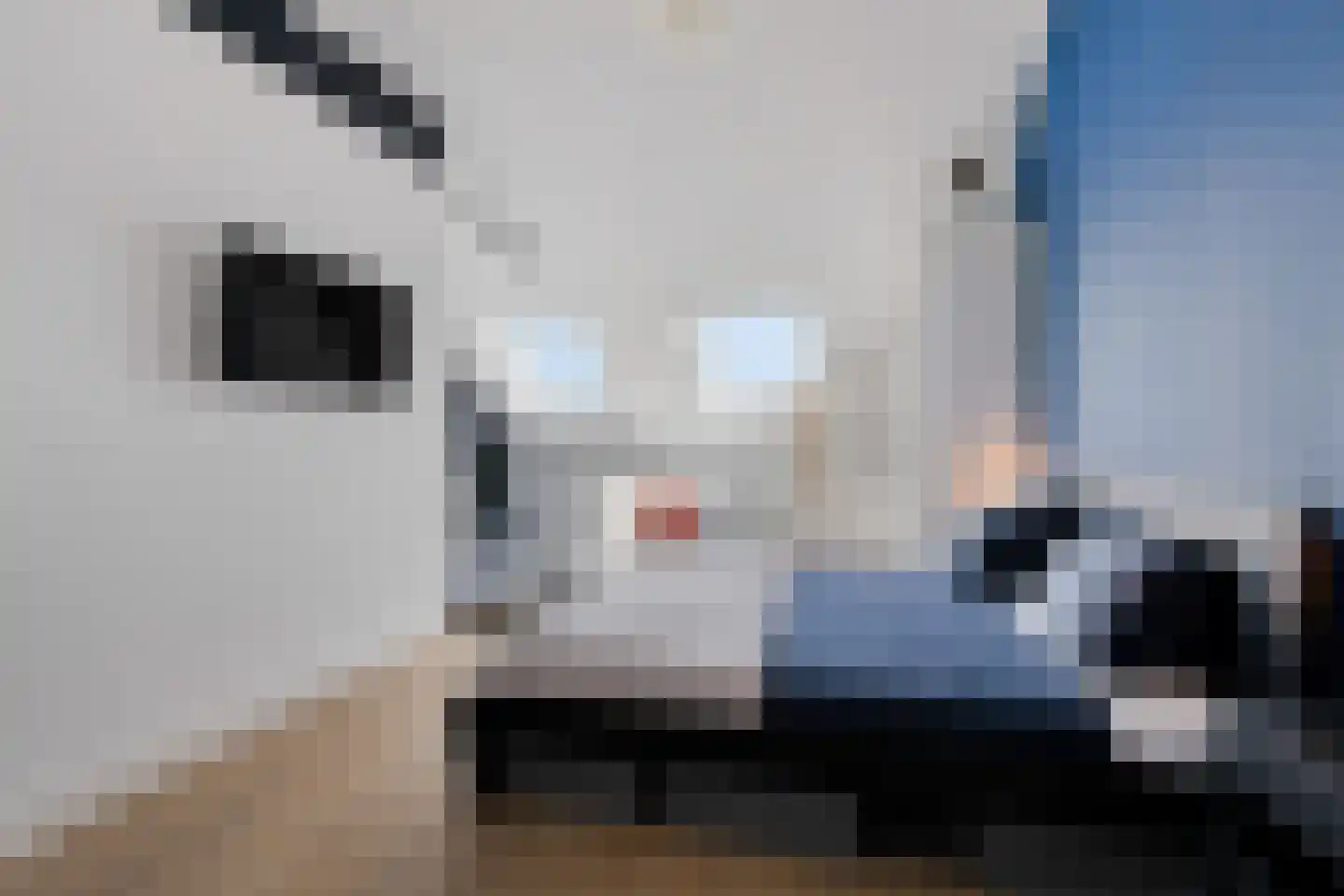 Klaproos 31 Bodegraven thumbnail 31