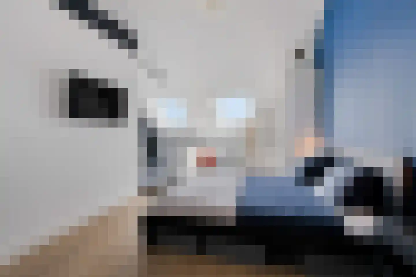Klaproos 31 Bodegraven thumbnail 32