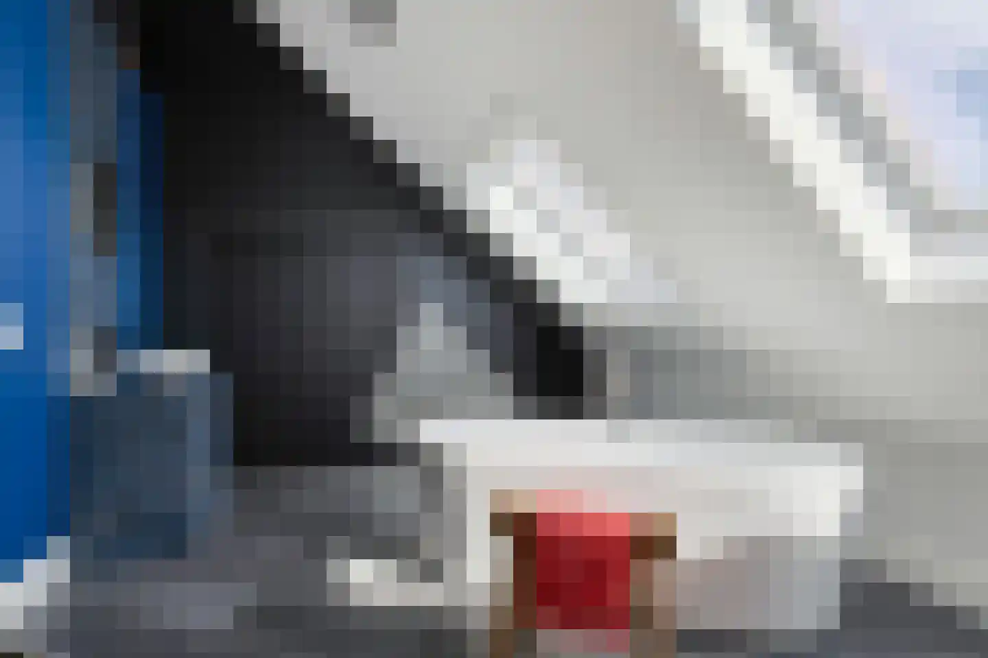 Klaproos 31 Bodegraven thumbnail 33