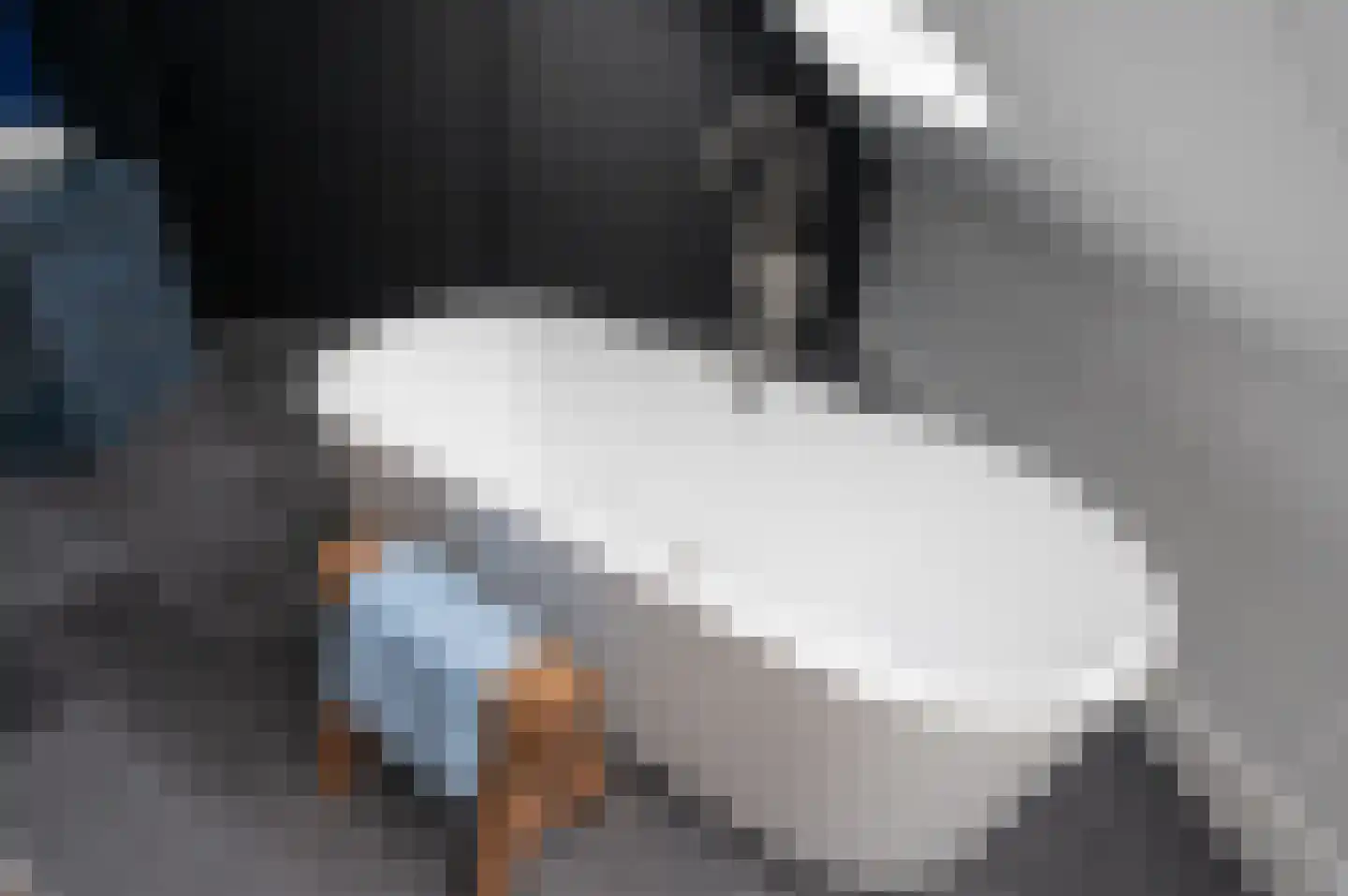 Klaproos 31 Bodegraven thumbnail 37