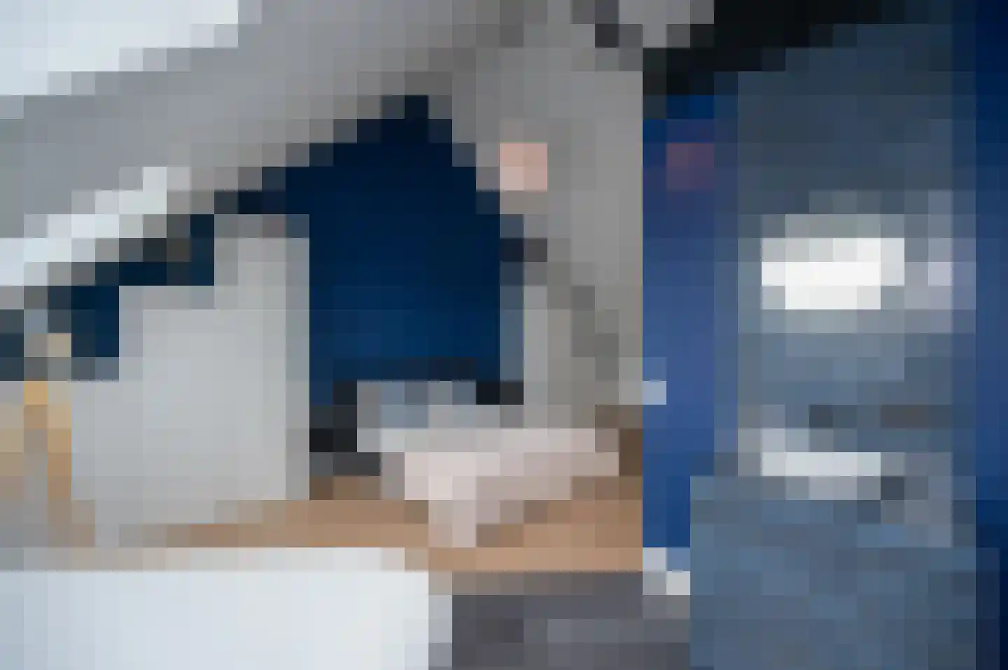 Klaproos 31 Bodegraven thumbnail 38
