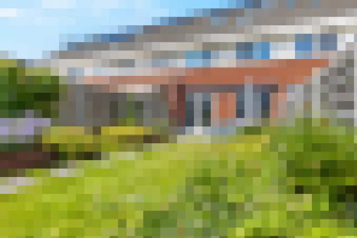 Klaproos 31 Bodegraven thumbnail 5