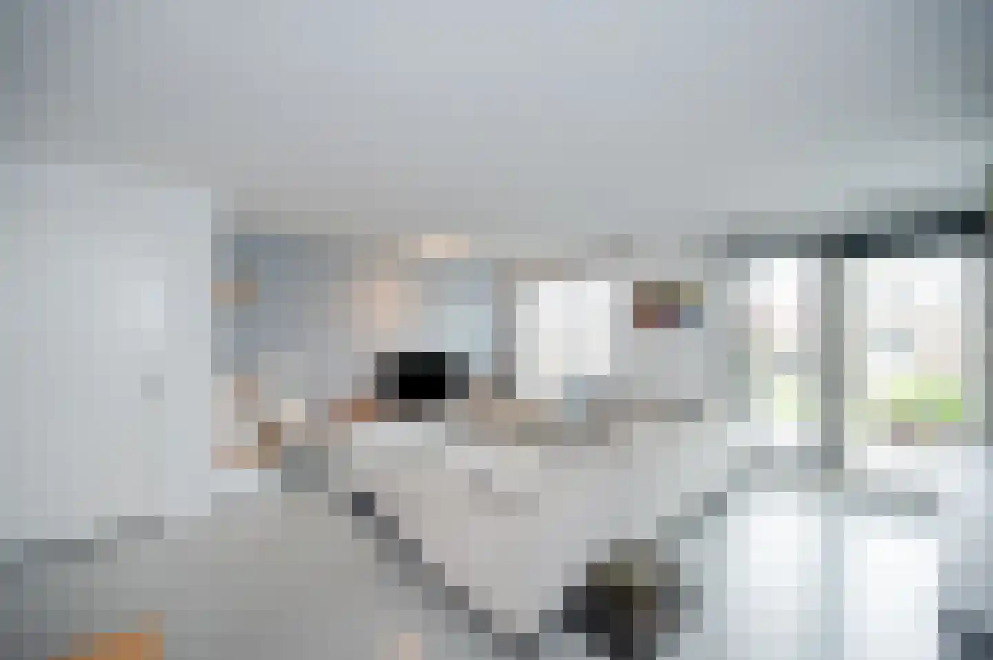 Klaproos 31 Bodegraven thumbnail 7