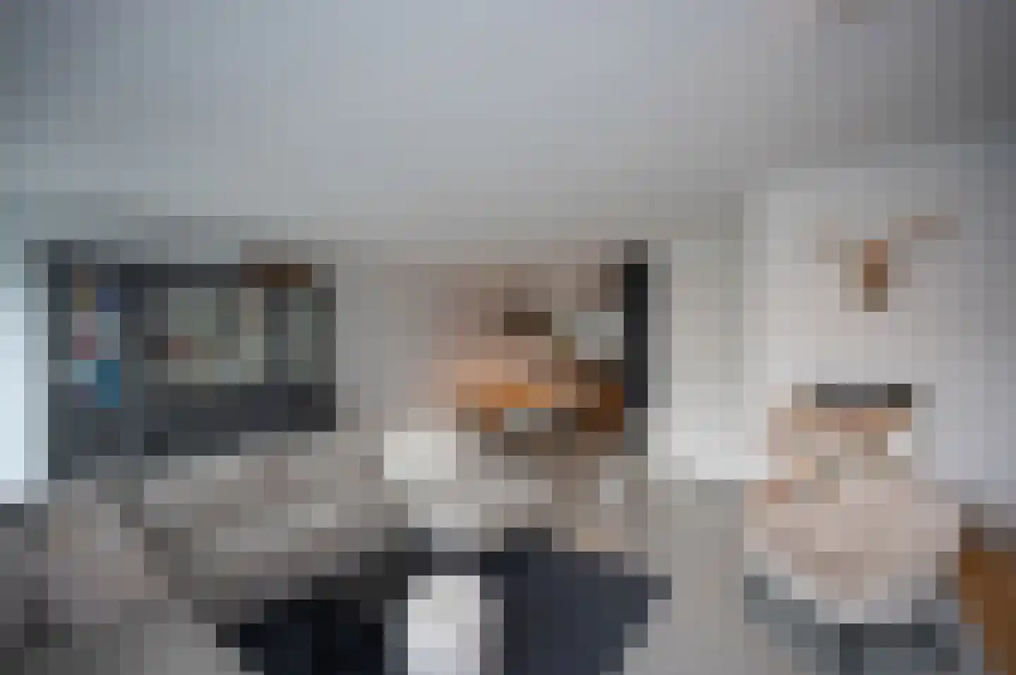 Klaproos 31 Bodegraven thumbnail 9